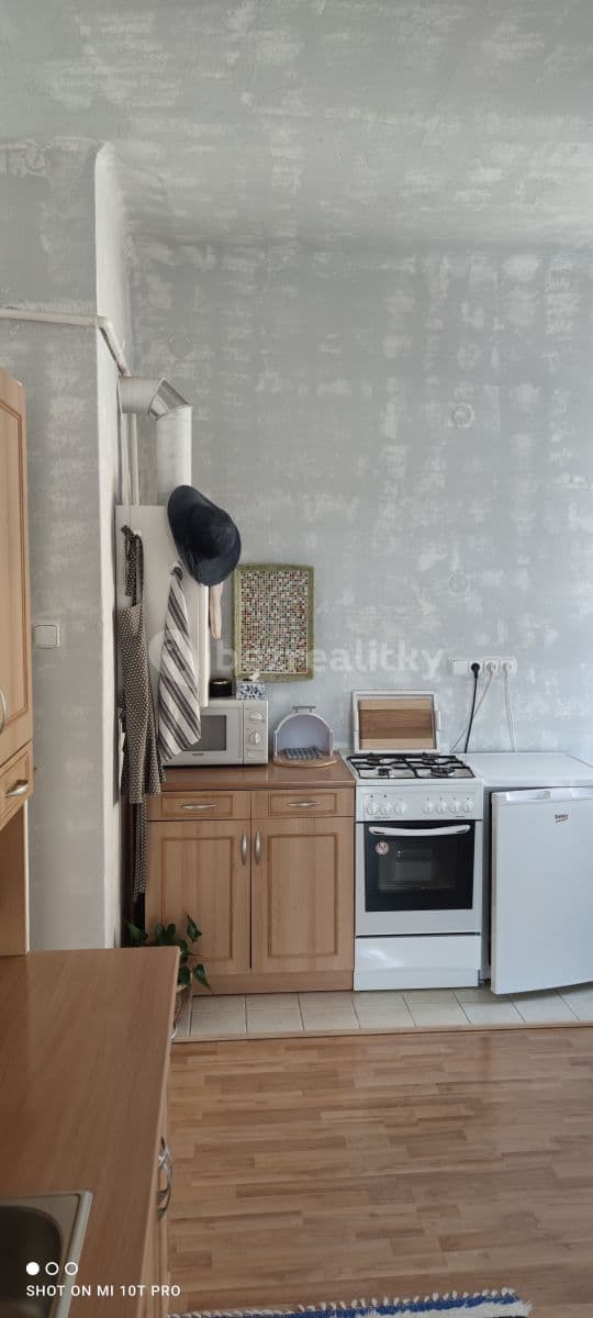 1 bedroom with open-plan kitchen flat to rent, 48 m², Doktorky Milady Horákové, Poděbrady, Středočeský Region 1 bedroom with open-plan kitchen flat to rent, 48 m², Doktorky Milady Horákové, Poděbrady, Středočeský Region