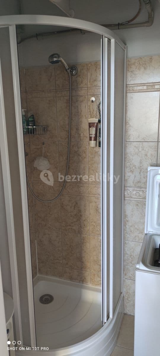 1 bedroom with open-plan kitchen flat to rent, 48 m², Doktorky Milady Horákové, Poděbrady, Středočeský Region 1 bedroom with open-plan kitchen flat to rent, 48 m², Doktorky Milady Horákové, Poděbrady, Středočeský Region