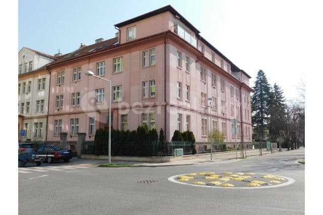 1 bedroom with open-plan kitchen flat to rent, 48 m², Doktorky Milady Horákové, Poděbrady, Středočeský Region 1 bedroom with open-plan kitchen flat to rent, 48 m², Doktorky Milady Horákové, Poděbrady, Středočeský Region