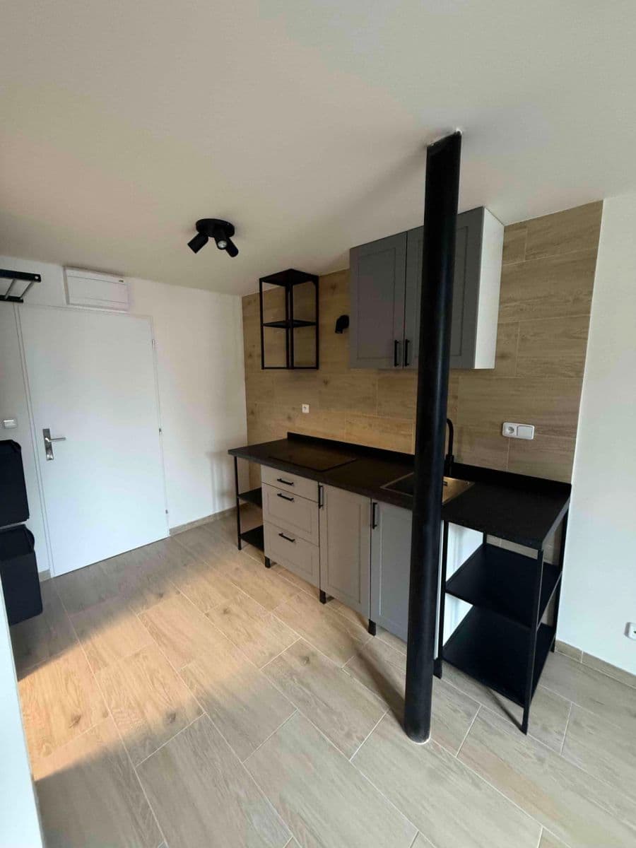 1 bedroom with open-plan kitchen flat to rent, 40 m², Strakonická, Prague, Prague 1 bedroom with open-plan kitchen flat to rent, 40 m², Strakonická, Prague, Prague