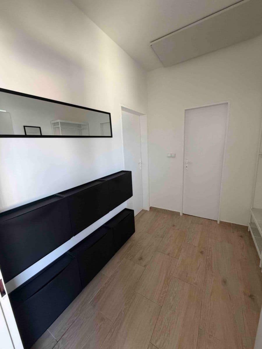 1 bedroom with open-plan kitchen flat to rent, 96 m², Strakonická, Prague, Prague 1 bedroom with open-plan kitchen flat to rent, 96 m², Strakonická, Prague, Prague