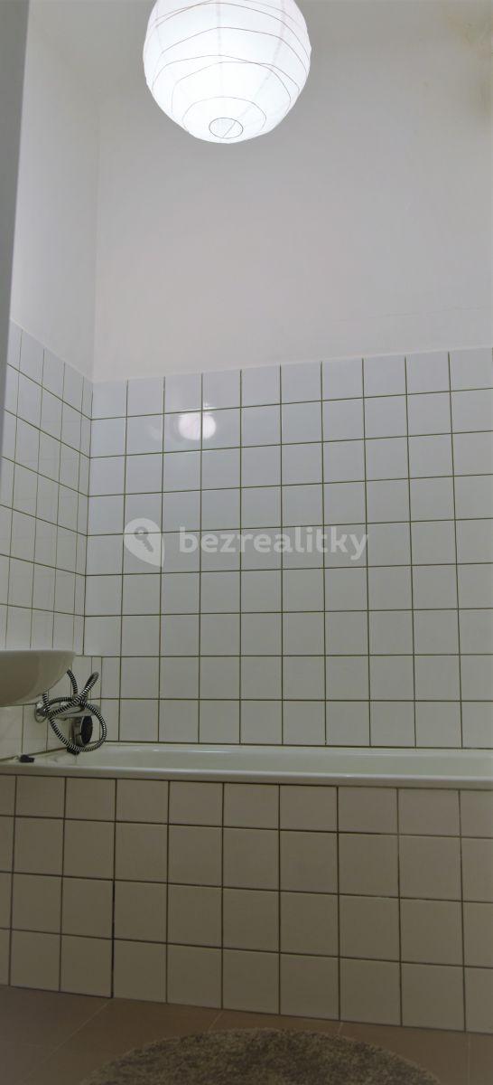 1 bedroom with open-plan kitchen flat to rent, 42 m², Brno, Jihomoravský Region