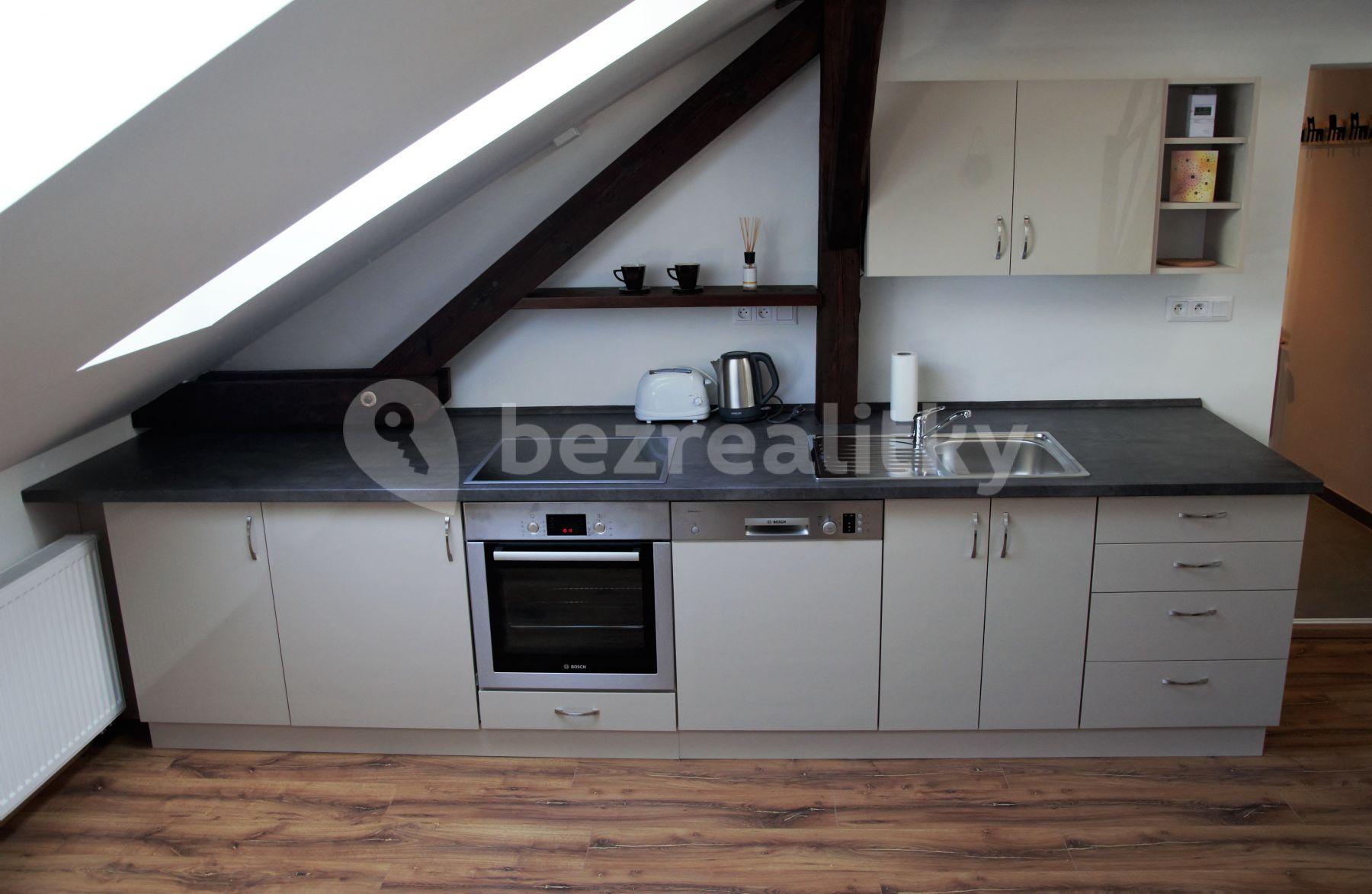 1 bedroom with open-plan kitchen flat to rent, 41 m², Merhautova, Brno, Jihomoravský Region