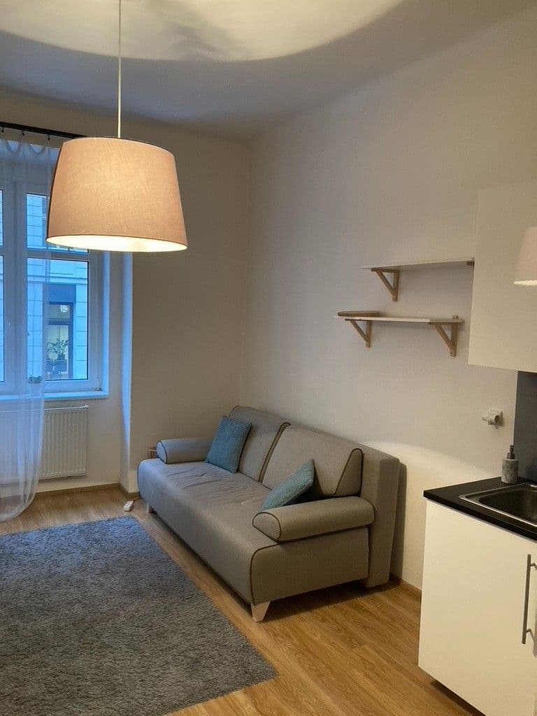 1 bedroom with open-plan kitchen flat to rent, 52 m², Orelská, Prague, Prague 1 bedroom with open-plan kitchen flat to rent, 52 m², Orelská, Prague, Prague