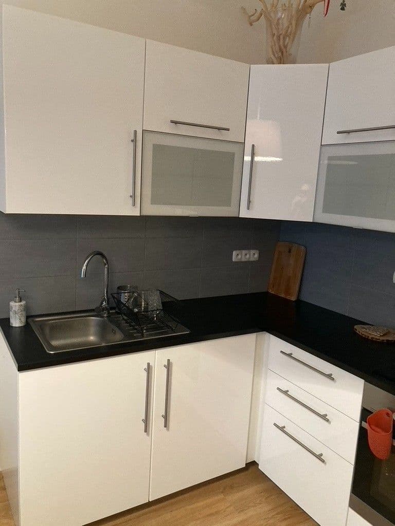 1 bedroom with open-plan kitchen flat to rent, 52 m², Orelská, Prague, Prague 1 bedroom with open-plan kitchen flat to rent, 52 m², Orelská, Prague, Prague