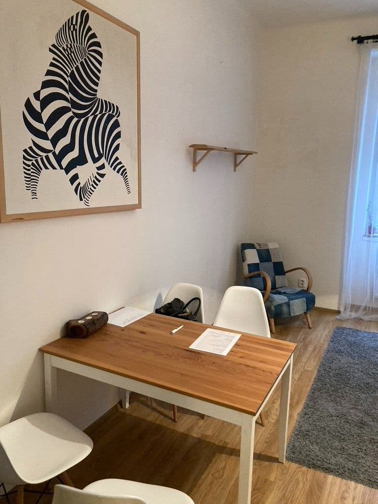 1 bedroom with open-plan kitchen flat to rent, 52 m², Orelská, Prague, Prague 1 bedroom with open-plan kitchen flat to rent, 52 m², Orelská, Prague, Prague