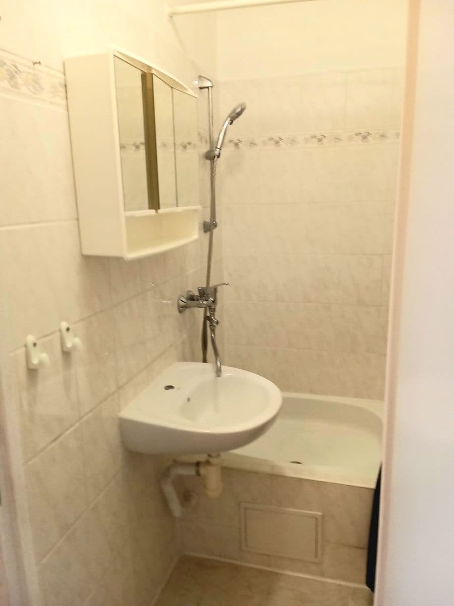Small studio flat to rent, 28 m², Švehlova, Prague, Prague Small studio flat to rent, 28 m², Švehlova, Prague, Prague