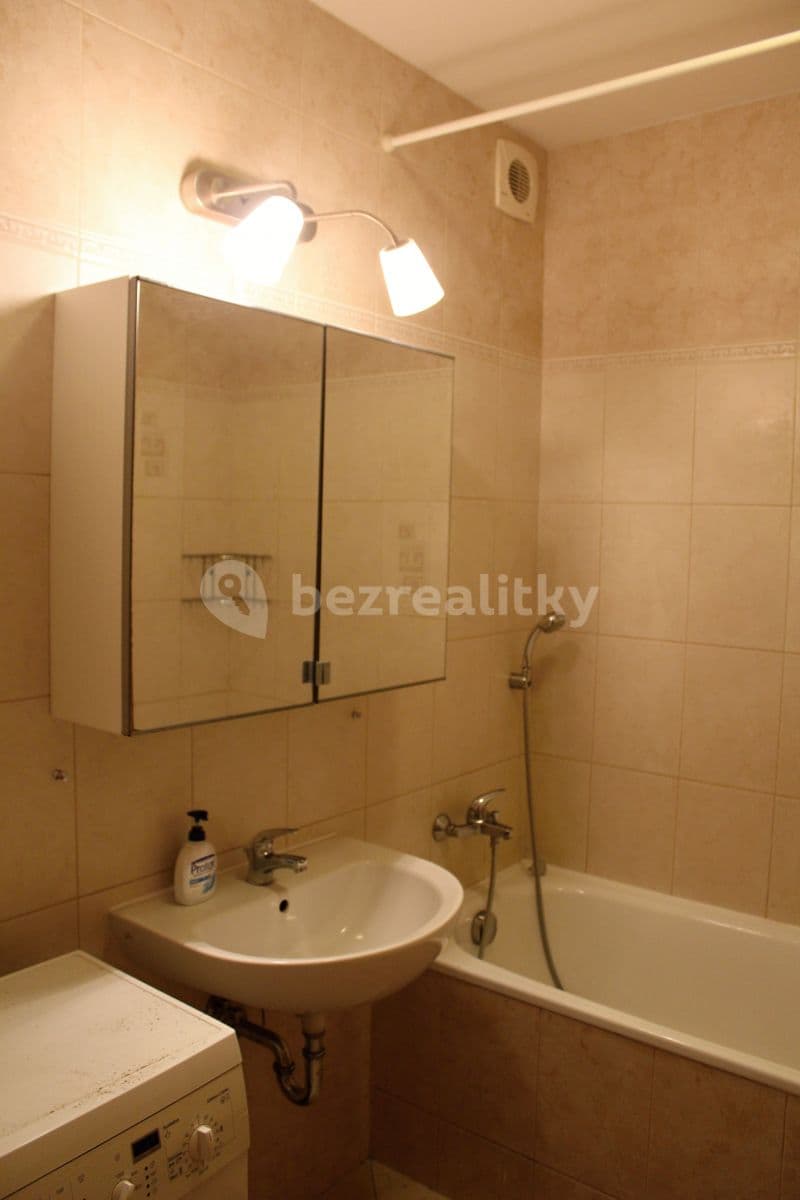 1 bedroom with open-plan kitchen flat to rent, 62 m², Nová kolonie, Prague, Prague 1 bedroom with open-plan kitchen flat to rent, 62 m², Nová kolonie, Prague, Prague