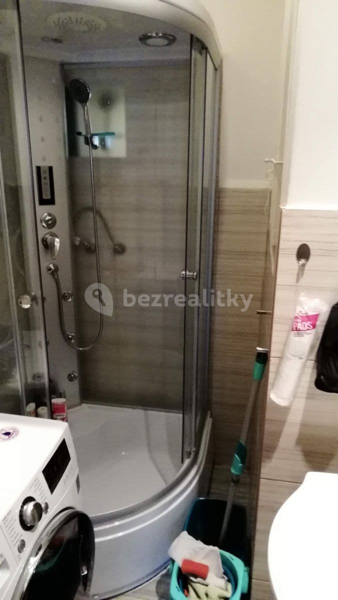 1 bedroom with open-plan kitchen flat to rent, 42 m², Andrštova, Prague, Prague 1 bedroom with open-plan kitchen flat to rent, 42 m², Andrštova, Prague, Prague