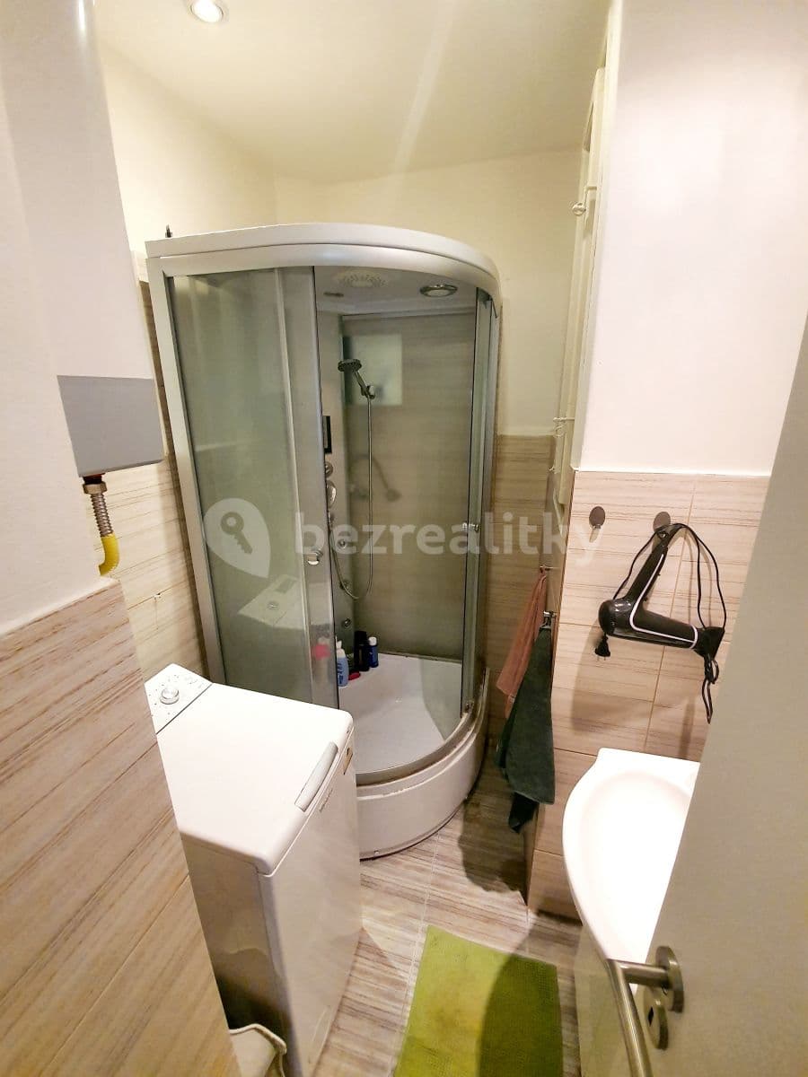1 bedroom with open-plan kitchen flat to rent, 42 m², Andrštova, Prague, Prague 1 bedroom with open-plan kitchen flat to rent, 42 m², Andrštova, Prague, Prague