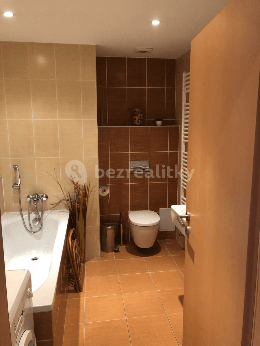 1 bedroom with open-plan kitchen flat to rent, 55 m², Hostivice, Středočeský Region 1 bedroom with open-plan kitchen flat to rent, 55 m², Hostivice, Středočeský Region