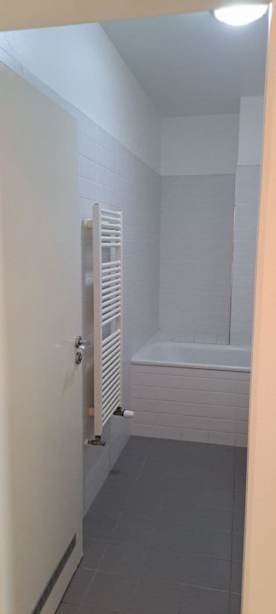 Studio flat to rent, 33 m², Českobratrská, Prague, Prague Studio flat to rent, 33 m², Českobratrská, Prague, Prague