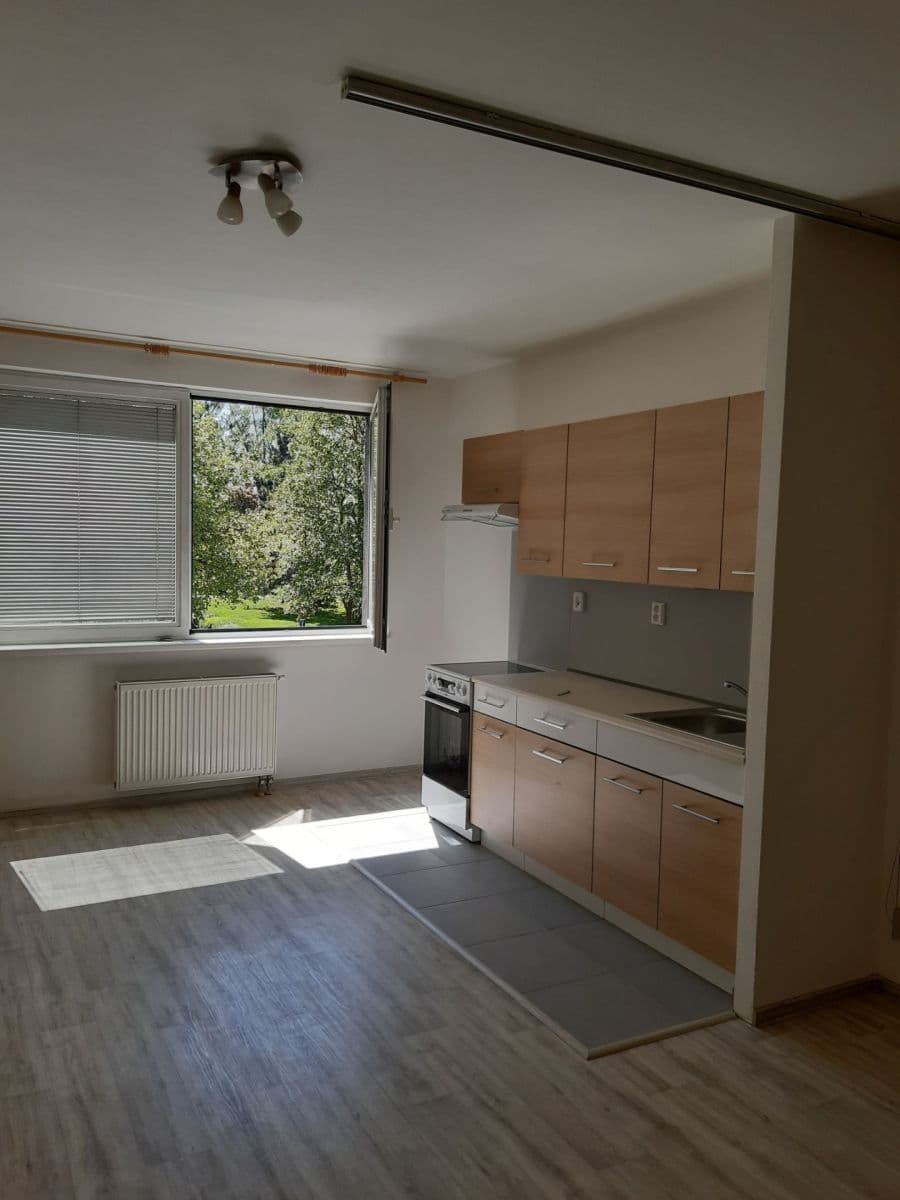 Studio flat to rent, 35 m², nábřeží Závodu míru, Pardubice, Pardubický Region Studio flat to rent, 35 m², nábřeží Závodu míru, Pardubice, Pardubický Region