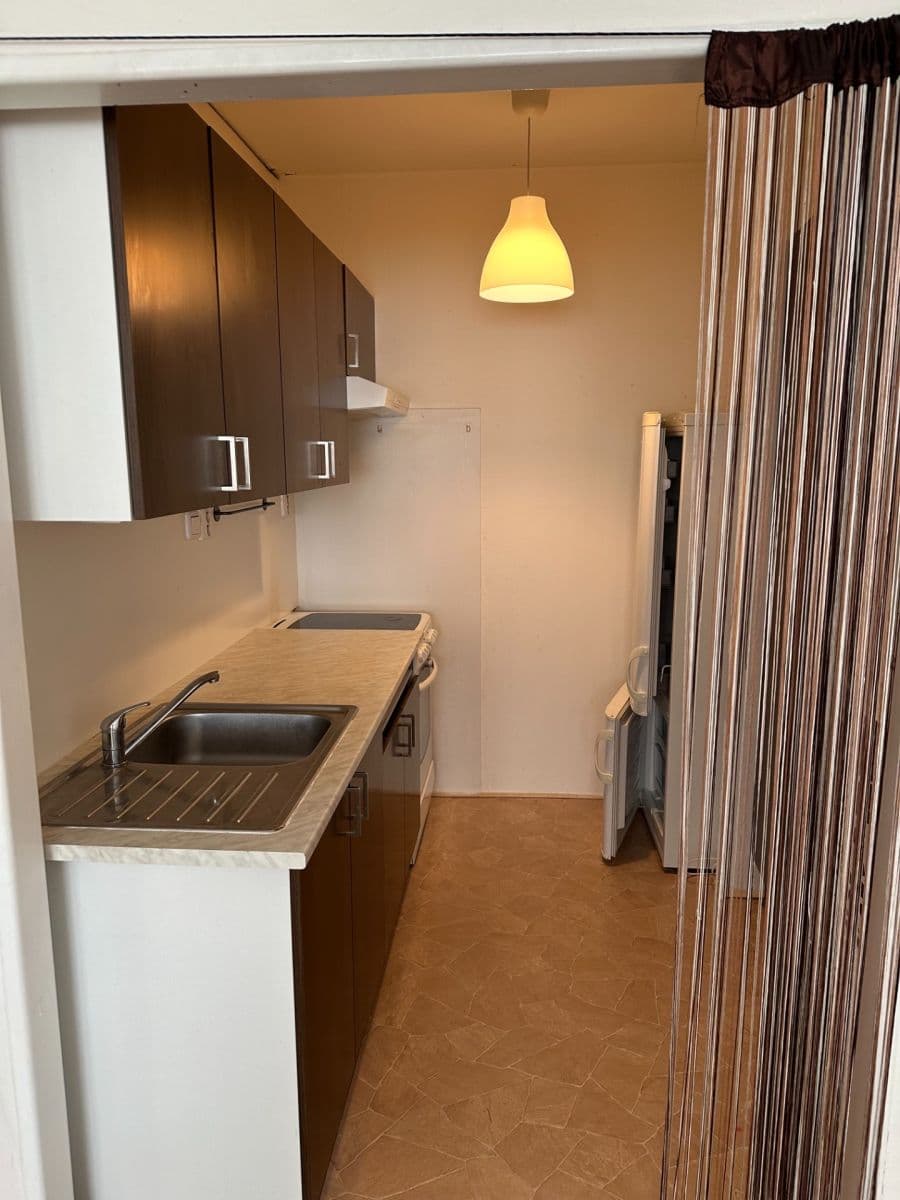 1 bedroom with open-plan kitchen flat to rent, 44 m², Machkova, Prague, Prague 1 bedroom with open-plan kitchen flat to rent, 44 m², Machkova, Prague, Prague