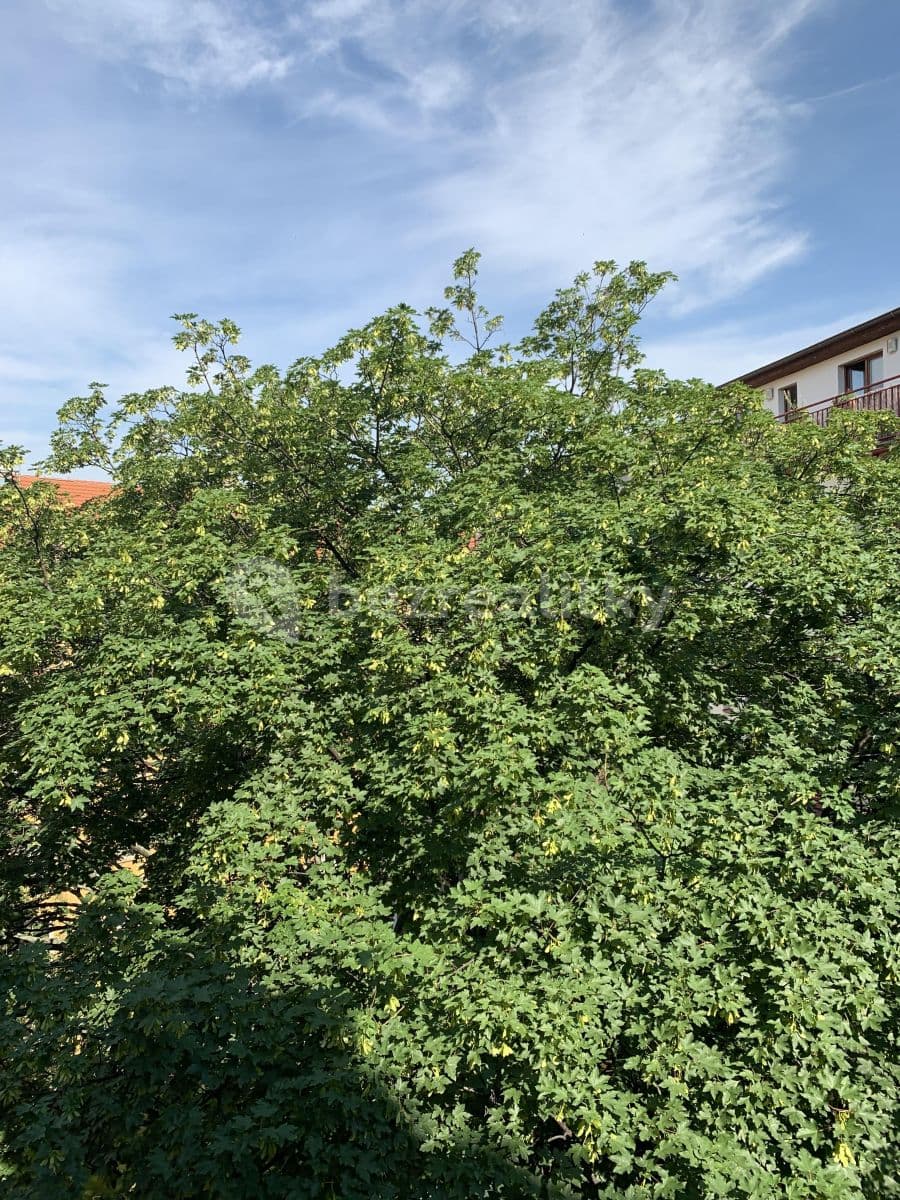 1 bedroom with open-plan kitchen flat to rent, 45 m², Mojmírova, Prague, Prague 1 bedroom with open-plan kitchen flat to rent, 45 m², Mojmírova, Prague, Prague