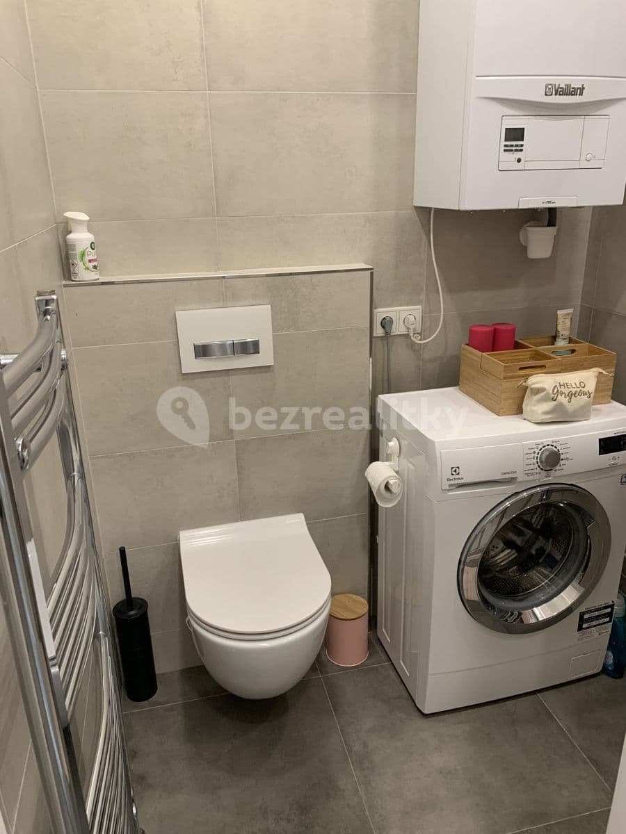 1 bedroom with open-plan kitchen flat to rent, 45 m², Mojmírova, Prague, Prague 1 bedroom with open-plan kitchen flat to rent, 45 m², Mojmírova, Prague, Prague