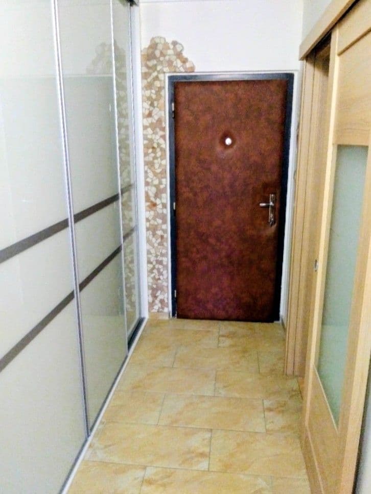 1 bedroom with open-plan kitchen flat to rent, 42 m², Štichova, Prague, Prague 1 bedroom with open-plan kitchen flat to rent, 42 m², Štichova, Prague, Prague