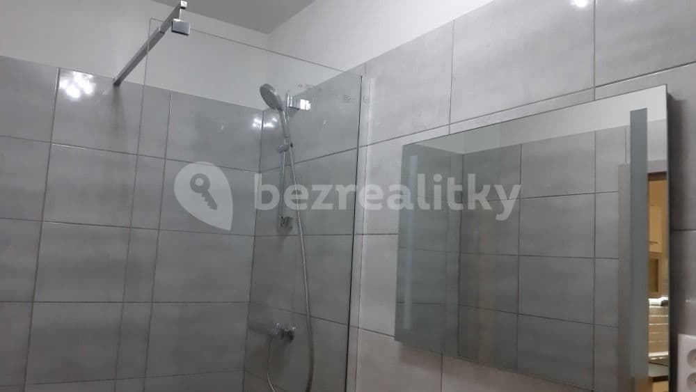 1 bedroom with open-plan kitchen flat to rent, 50 m², V Zahradách, Prague, Prague 1 bedroom with open-plan kitchen flat to rent, 50 m², V Zahradách, Prague, Prague