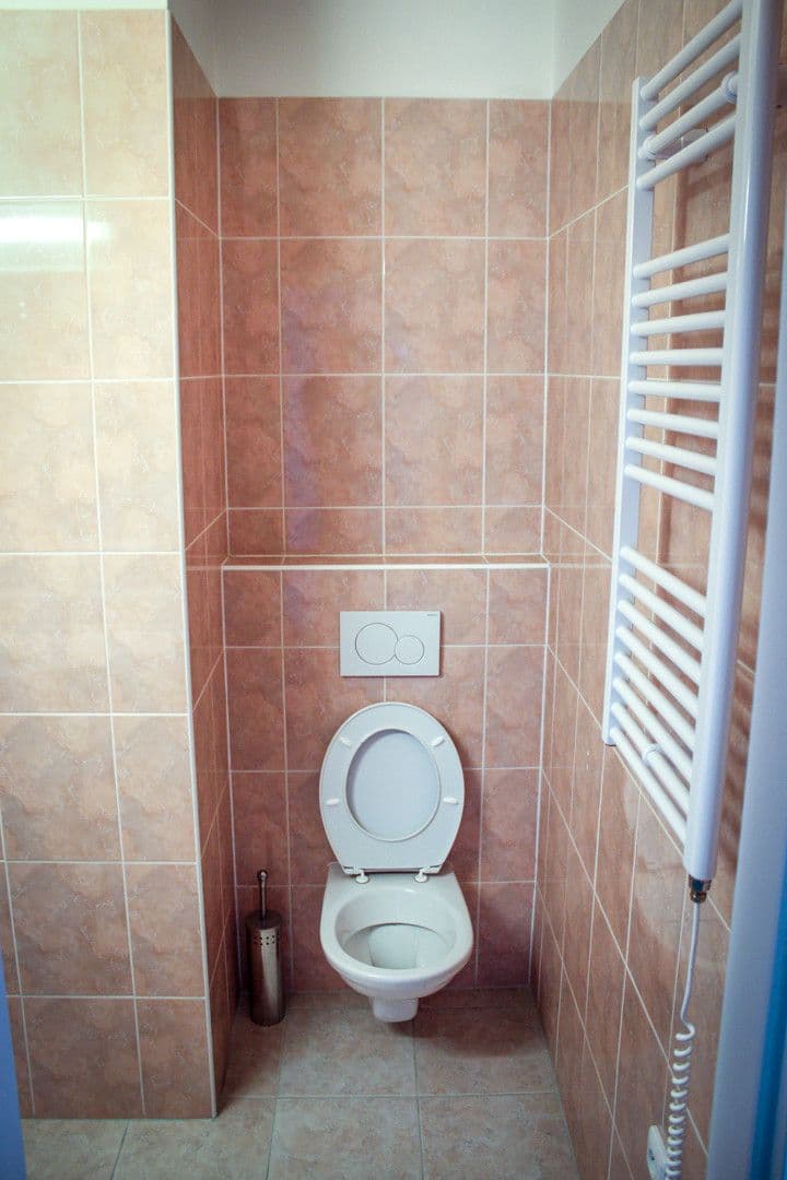 1 bedroom with open-plan kitchen flat to rent, 30 m², Peroutkova, Prague, Prague 1 bedroom with open-plan kitchen flat to rent, 30 m², Peroutkova, Prague, Prague