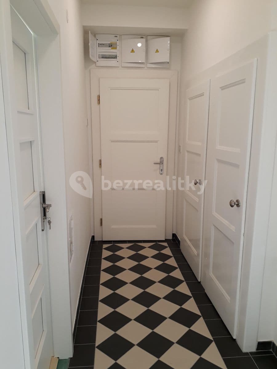 Studio flat to rent, 22 m², Na Výtoni, Prague, Prague Studio flat to rent, 22 m², Na Výtoni, Prague, Prague