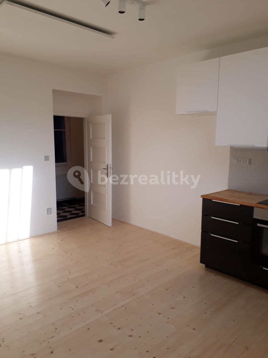 Studio flat to rent, 22 m², Na Výtoni, Prague, Prague Studio flat to rent, 22 m², Na Výtoni, Prague, Prague
