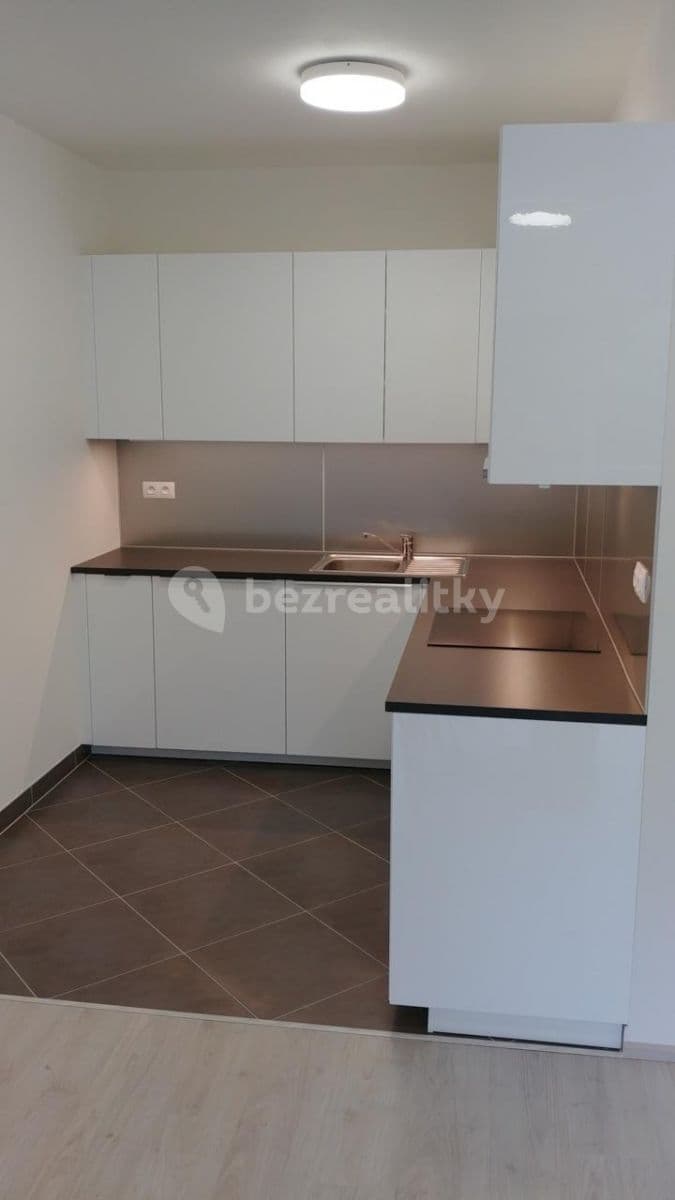1 bedroom with open-plan kitchen flat to rent, 62 m², Modenská, Prague, Prague 1 bedroom with open-plan kitchen flat to rent, 62 m², Modenská, Prague, Prague