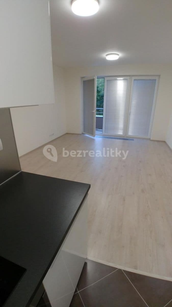 1 bedroom with open-plan kitchen flat to rent, 62 m², Modenská, Prague, Prague 1 bedroom with open-plan kitchen flat to rent, 62 m², Modenská, Prague, Prague