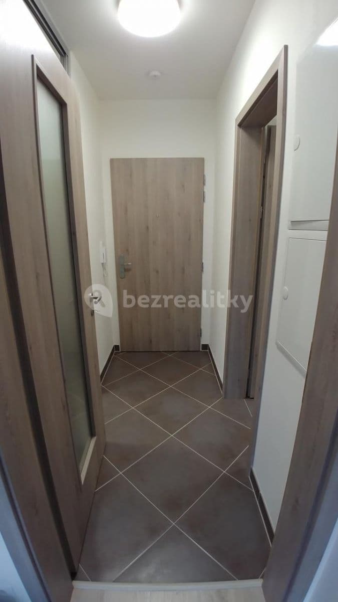 1 bedroom with open-plan kitchen flat to rent, 62 m², Modenská, Prague, Prague 1 bedroom with open-plan kitchen flat to rent, 62 m², Modenská, Prague, Prague