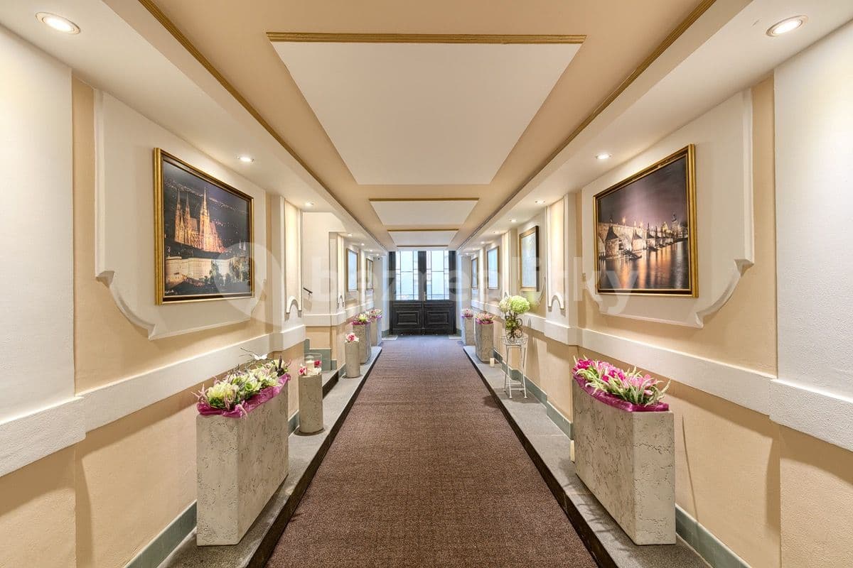 1 bedroom with open-plan kitchen flat to rent, 65 m², Milady Horákové, Prague, Prague 1 bedroom with open-plan kitchen flat to rent, 65 m², Milady Horákové, Prague, Prague