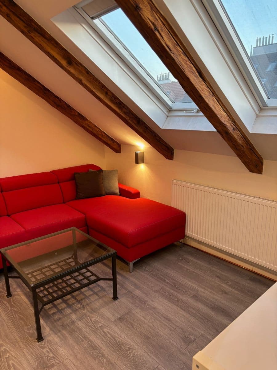 1 bedroom with open-plan kitchen flat to rent, 65 m², Milady Horákové, Prague, Prague 1 bedroom with open-plan kitchen flat to rent, 65 m², Milady Horákové, Prague, Prague