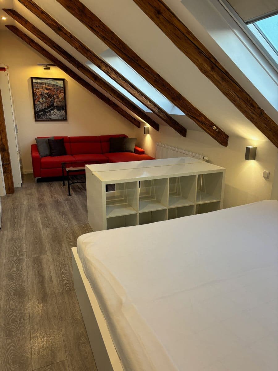 1 bedroom with open-plan kitchen flat to rent, 65 m², Milady Horákové, Prague, Prague 1 bedroom with open-plan kitchen flat to rent, 65 m², Milady Horákové, Prague, Prague