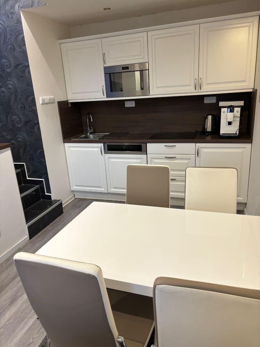 1 bedroom with open-plan kitchen flat to rent, 65 m², Milady Horákové, Prague, Prague 1 bedroom with open-plan kitchen flat to rent, 65 m², Milady Horákové, Prague, Prague