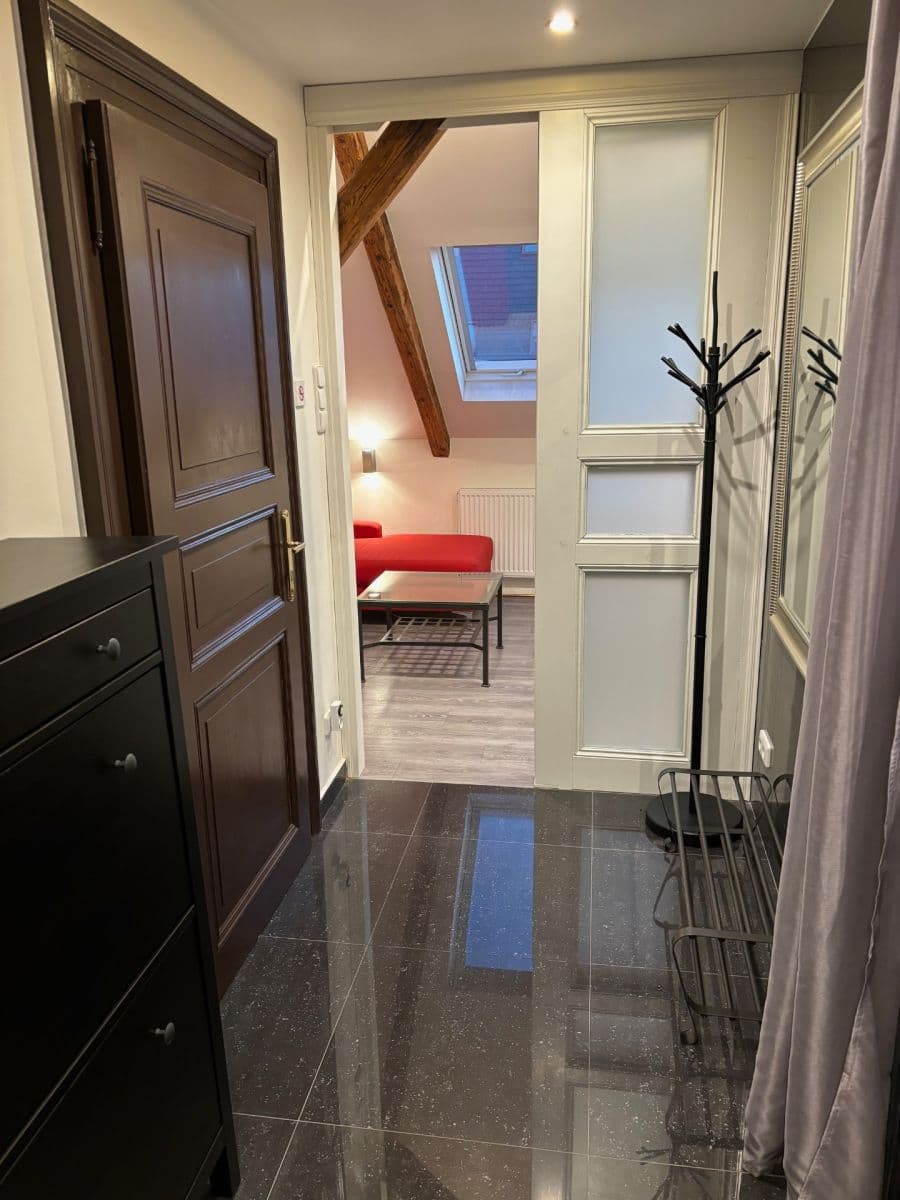 1 bedroom with open-plan kitchen flat to rent, 65 m², Milady Horákové, Prague, Prague 1 bedroom with open-plan kitchen flat to rent, 65 m², Milady Horákové, Prague, Prague