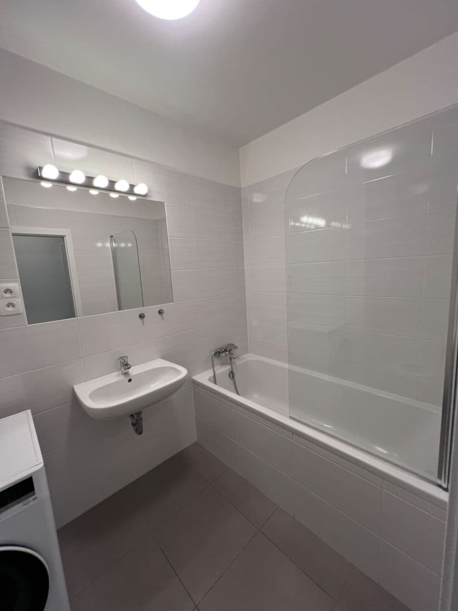 1 bedroom with open-plan kitchen flat to rent, 53 m², Za Vackovem, Prague, Prague 1 bedroom with open-plan kitchen flat to rent, 53 m², Za Vackovem, Prague, Prague