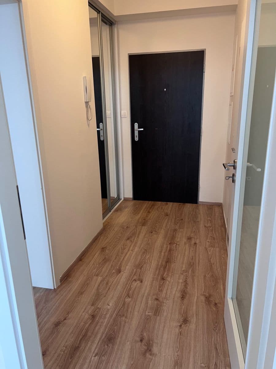 1 bedroom with open-plan kitchen flat to rent, 53 m², Za Vackovem, Prague, Prague 1 bedroom with open-plan kitchen flat to rent, 53 m², Za Vackovem, Prague, Prague