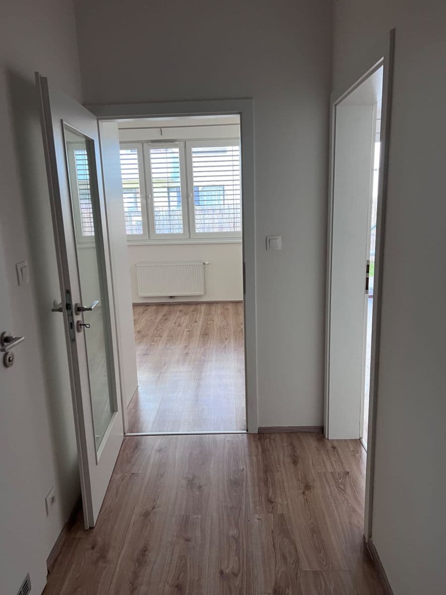 1 bedroom with open-plan kitchen flat to rent, 53 m², Za Vackovem, Prague, Prague 1 bedroom with open-plan kitchen flat to rent, 53 m², Za Vackovem, Prague, Prague