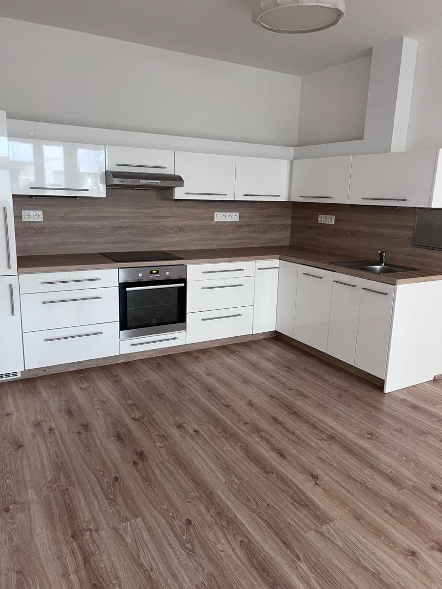 1 bedroom with open-plan kitchen flat to rent, 53 m², Za Vackovem, Prague, Prague 1 bedroom with open-plan kitchen flat to rent, 53 m², Za Vackovem, Prague, Prague