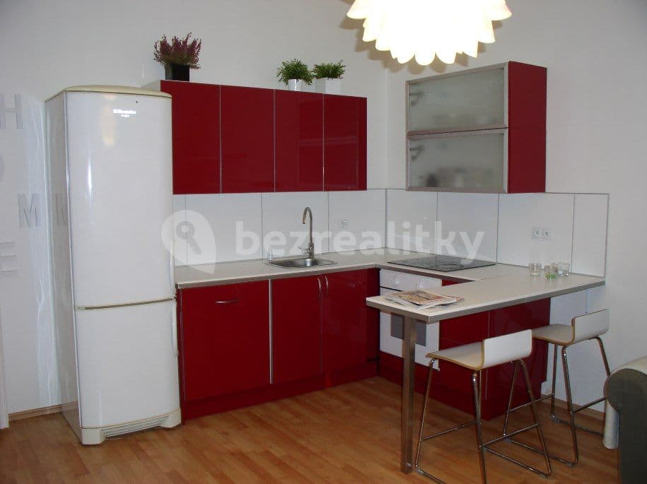 1 bedroom with open-plan kitchen flat to rent, 44 m², Pod Kavalírkou, Prague, Prague 1 bedroom with open-plan kitchen flat to rent, 44 m², Pod Kavalírkou, Prague, Prague