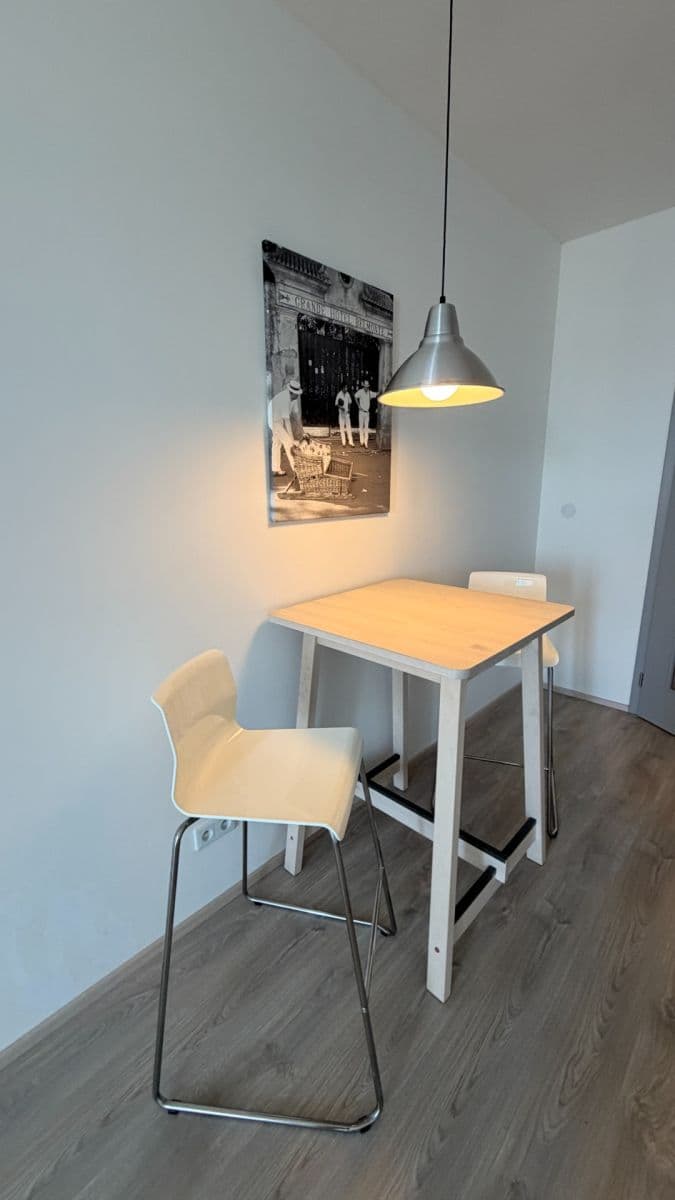 Studio flat to rent, 43 m², Premonstrátů, Chýně, Středočeský Region Studio flat to rent, 43 m², Premonstrátů, Chýně, Středočeský Region