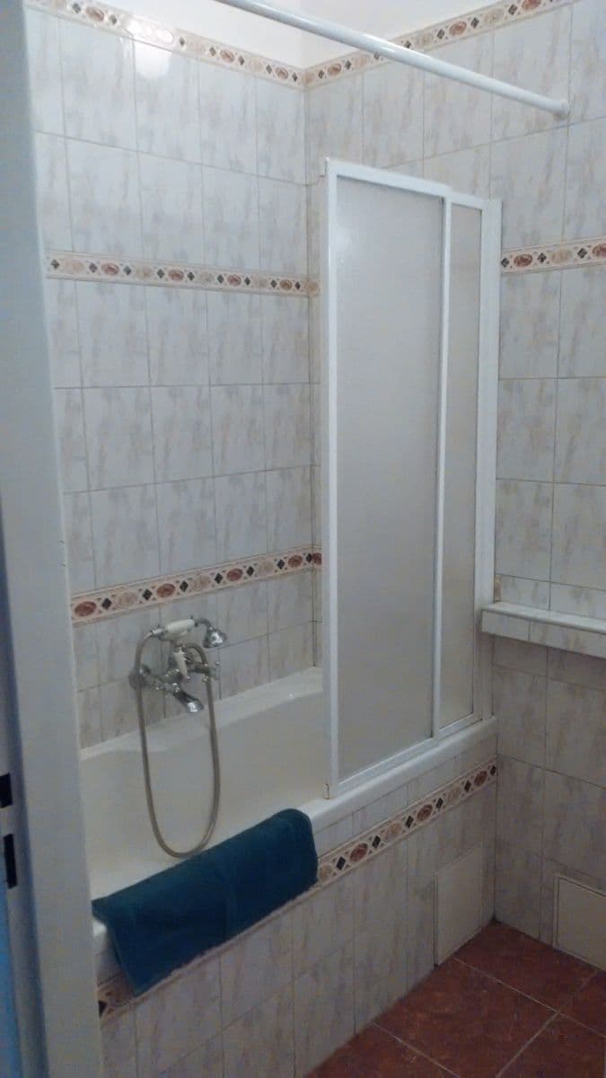 1 bedroom with open-plan kitchen flat to rent, 45 m², Svatoslavova, Prague, Prague 1 bedroom with open-plan kitchen flat to rent, 45 m², Svatoslavova, Prague, Prague