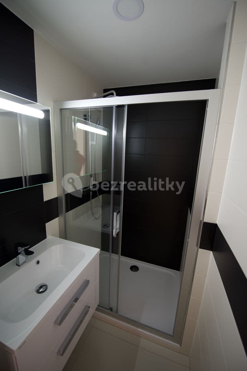 1 bedroom with open-plan kitchen flat to rent, 45 m², Zázvorkova, Prague, Prague 1 bedroom with open-plan kitchen flat to rent, 45 m², Zázvorkova, Prague, Prague