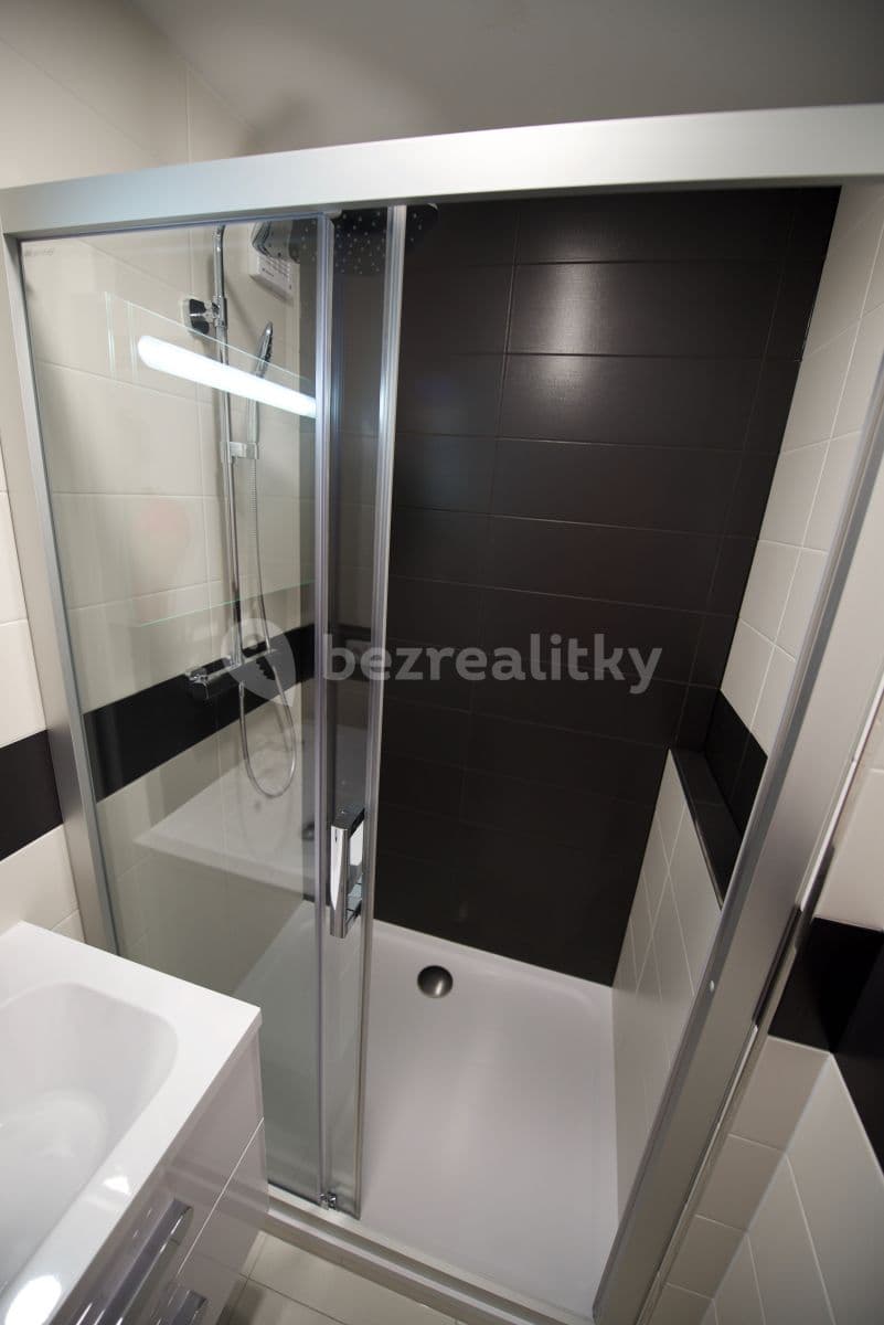 1 bedroom with open-plan kitchen flat to rent, 45 m², Zázvorkova, Prague, Prague 1 bedroom with open-plan kitchen flat to rent, 45 m², Zázvorkova, Prague, Prague