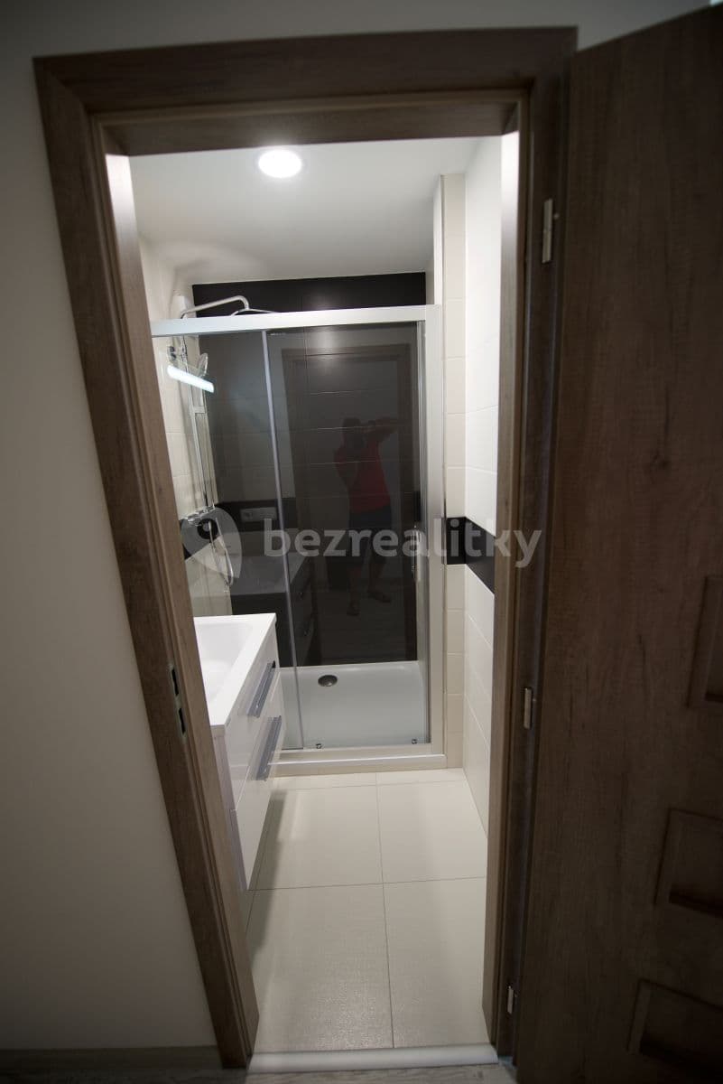 1 bedroom with open-plan kitchen flat to rent, 45 m², Zázvorkova, Prague, Prague 1 bedroom with open-plan kitchen flat to rent, 45 m², Zázvorkova, Prague, Prague
