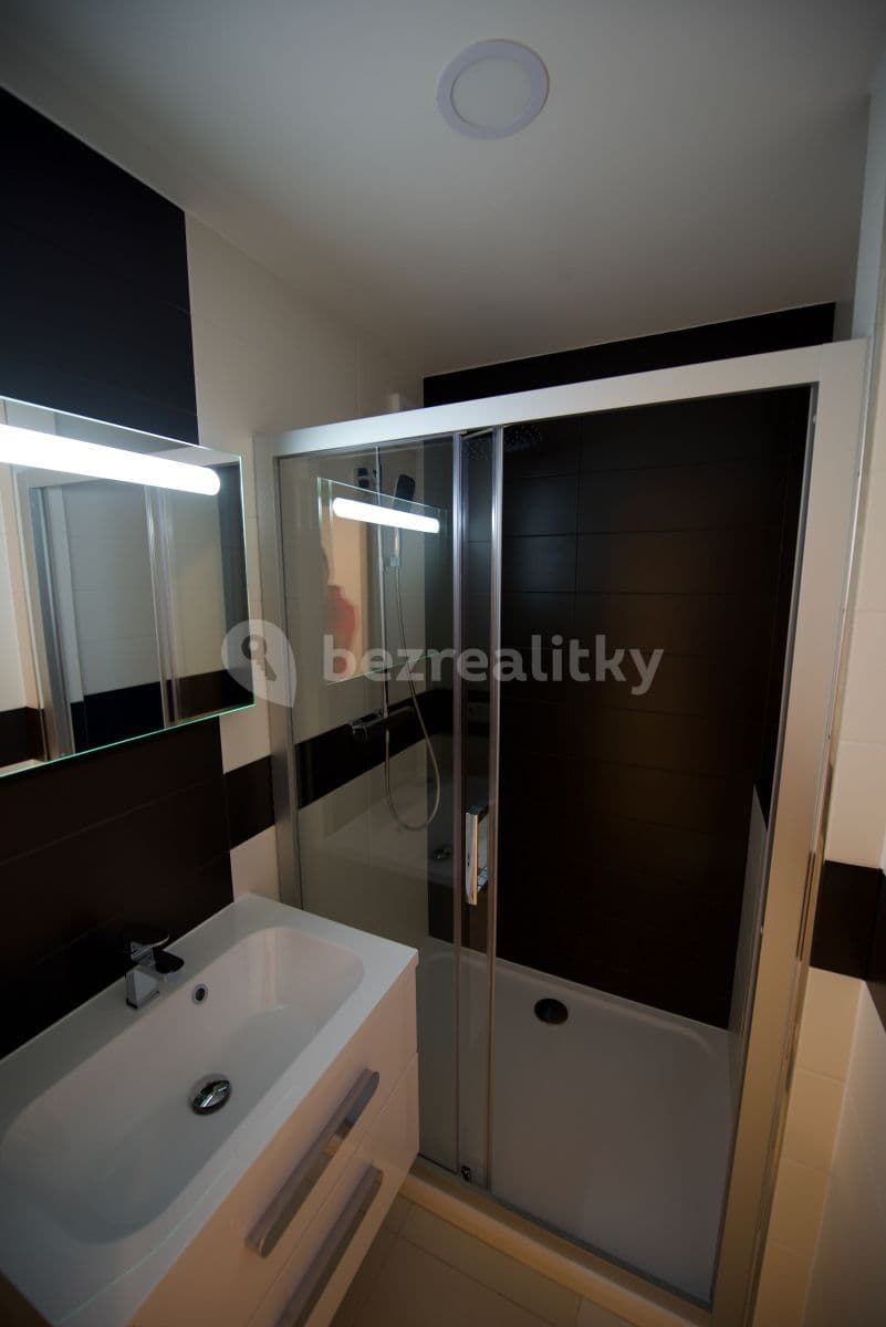 1 bedroom with open-plan kitchen flat to rent, 45 m², Zázvorkova, Prague, Prague 1 bedroom with open-plan kitchen flat to rent, 45 m², Zázvorkova, Prague, Prague
