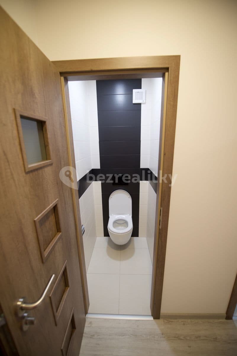 1 bedroom with open-plan kitchen flat to rent, 45 m², Zázvorkova, Prague, Prague 1 bedroom with open-plan kitchen flat to rent, 45 m², Zázvorkova, Prague, Prague