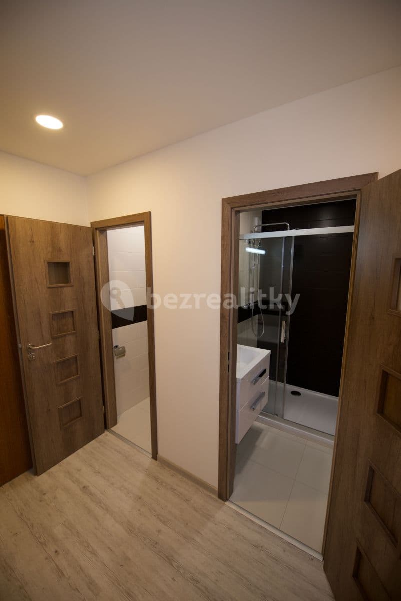 1 bedroom with open-plan kitchen flat to rent, 45 m², Zázvorkova, Prague, Prague 1 bedroom with open-plan kitchen flat to rent, 45 m², Zázvorkova, Prague, Prague