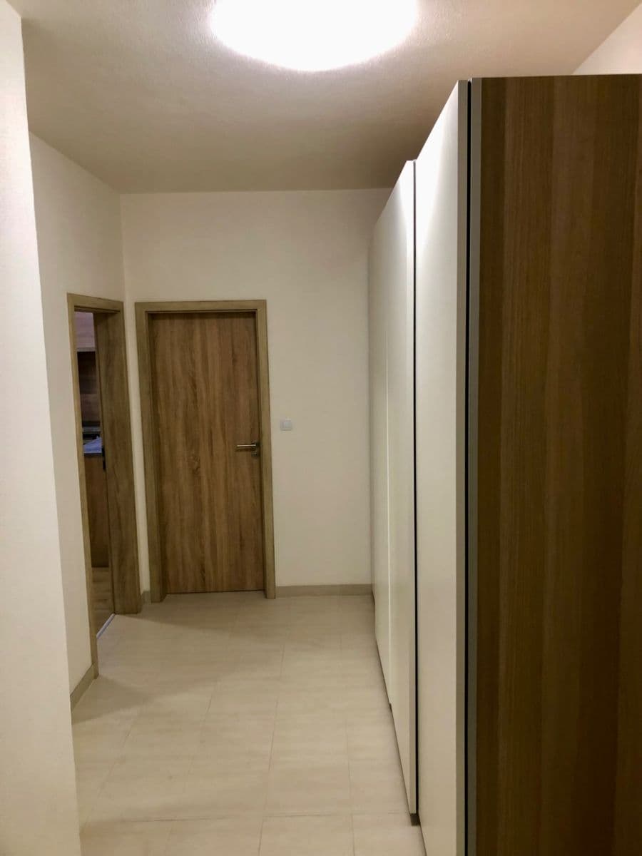 1 bedroom with open-plan kitchen flat to rent, 59 m², Poděbradova, Plzeň, Plzeňský Region 1 bedroom with open-plan kitchen flat to rent, 59 m², Poděbradova, Plzeň, Plzeňský Region