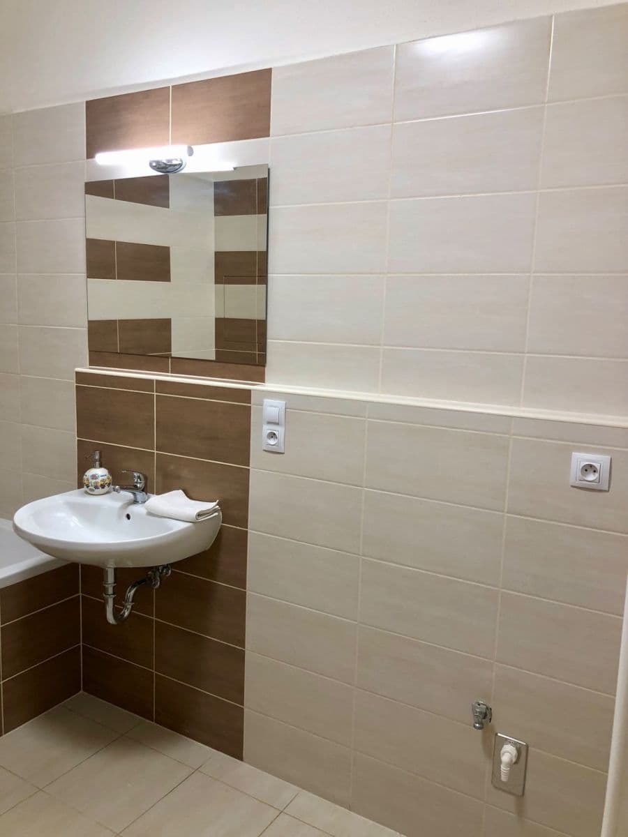 1 bedroom with open-plan kitchen flat to rent, 59 m², Poděbradova, Plzeň, Plzeňský Region 1 bedroom with open-plan kitchen flat to rent, 59 m², Poděbradova, Plzeň, Plzeňský Region