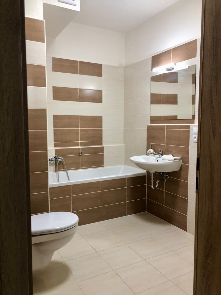 1 bedroom with open-plan kitchen flat to rent, 59 m², Poděbradova, Plzeň, Plzeňský Region 1 bedroom with open-plan kitchen flat to rent, 59 m², Poděbradova, Plzeň, Plzeňský Region