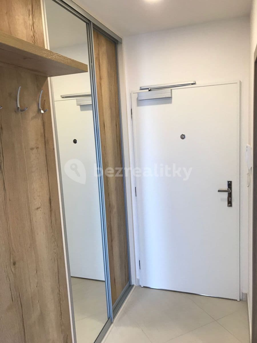 Studio flat to rent, 30 m², Petrohradská, Prague, Prague Studio flat to rent, 30 m², Petrohradská, Prague, Prague